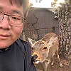 Deyun Lyu
